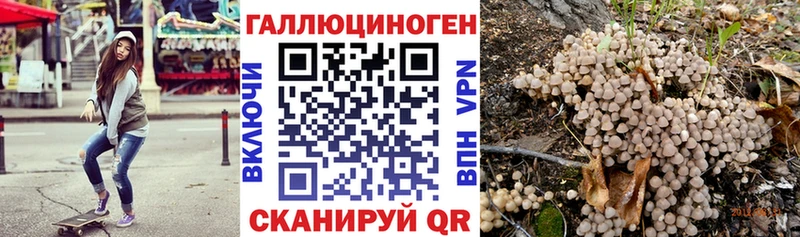 blacksprut онион  Таштагол  Псилоцибиновые грибы GOLDEN TEACHER  где можно купить  
